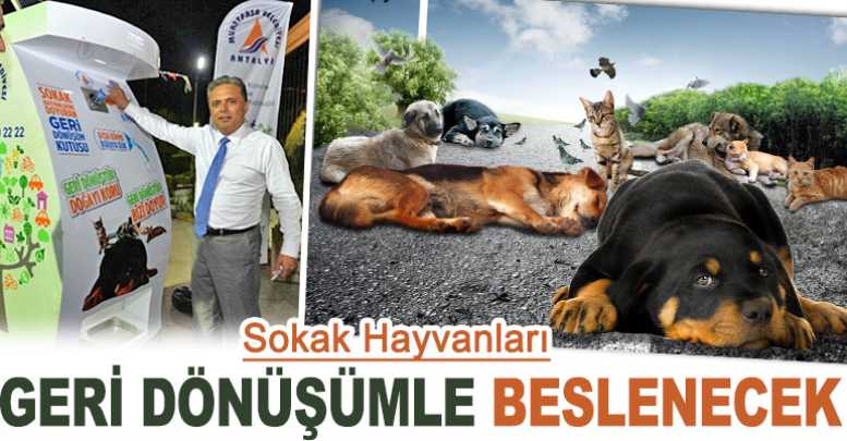 Sokak Hayvanları Geri Dönüşümle Beslenecek