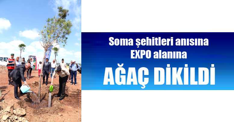 Soma şehitleri anısına EXPO alanına ağaç dikildi