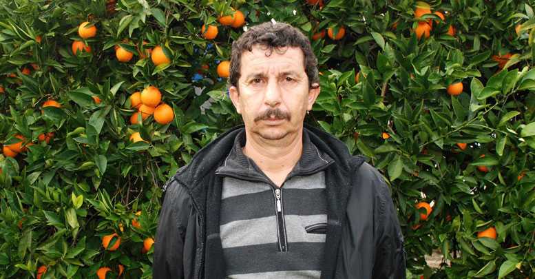 Son yağış portakal üreticisine yaradı