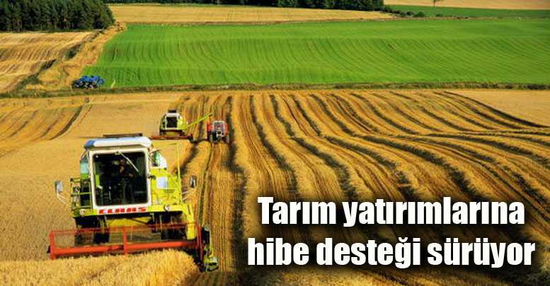 Tarım yatırımlarına hibe desteği sürüyor