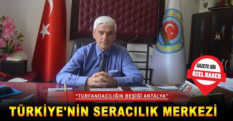Türkiye'nin seracılık merkezi