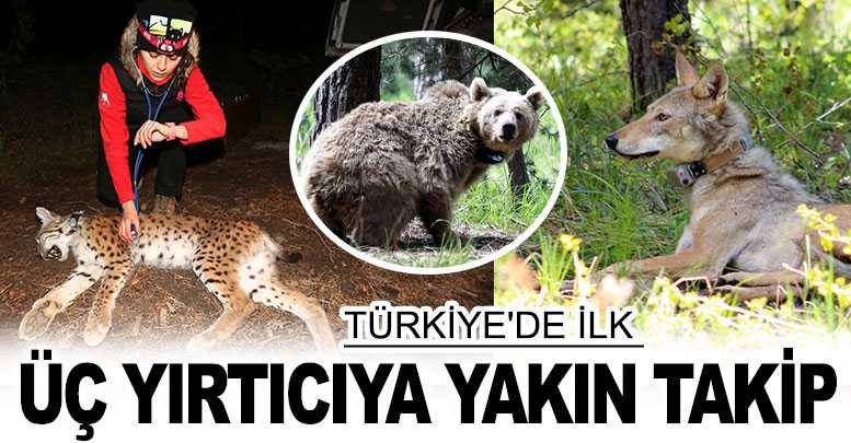 ÜÇ YIRTICIYA YAKIN TAKİP