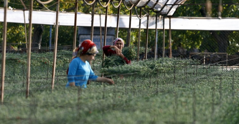 Üretici destek bekliyor