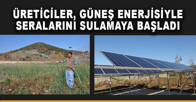 Üreticiler, güneş enerjisiyle seralarını sulamaya başladı