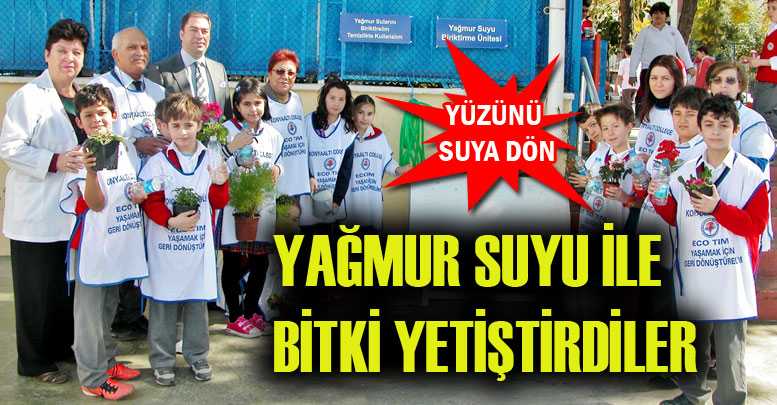 Yağmur suyu ile bitki yetiştirdiler