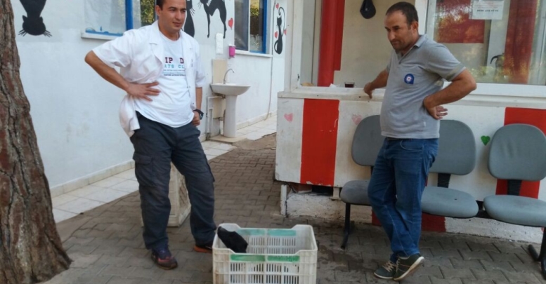 Yaralı köpeğe Büyükşehir şefkati
