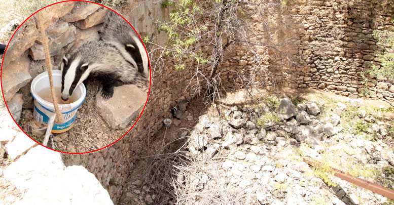 Yavru hayvanları itfaiye kurtardı