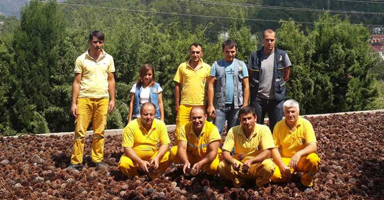 Yeni kazanç kapısı Kozalak