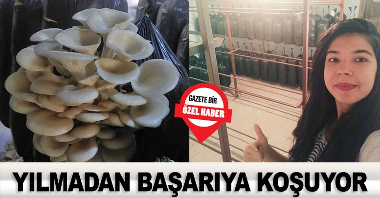 Yılmadan başarıya koşuyor