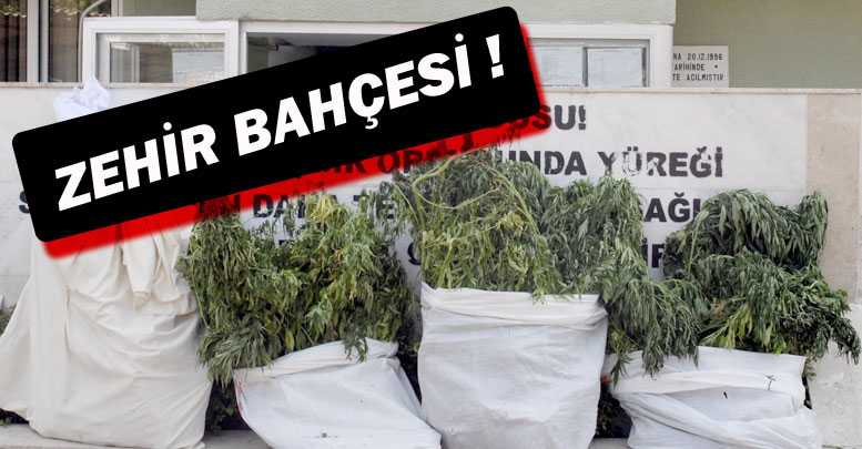 ZEHİR BAHÇESİ !