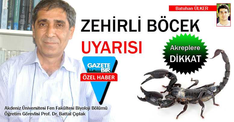 ZEHİRLİ BÖCEK UYARISI