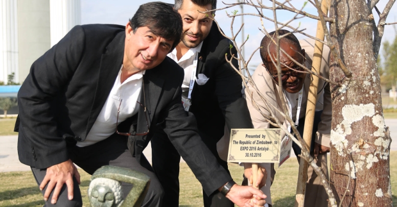 Zimbabve’den Expo’ya ağaç hediyesi