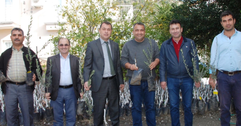 Ziraat Odası'ndan çiftçiye fidan
